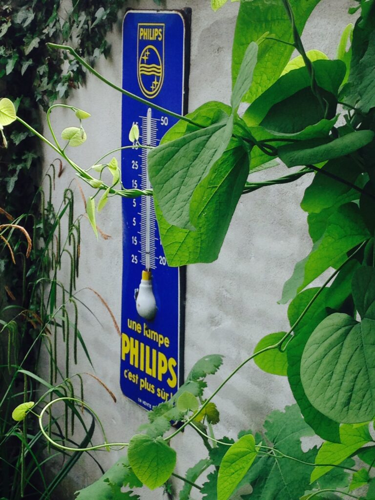 VISIE evenwicht strak-los: speelse klimplant voor strakke muur met blauwe emaille thermometer