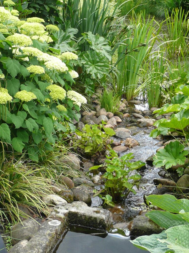 BLOEMEN witgroene hortensia's bij trog met waterloop naar vijver