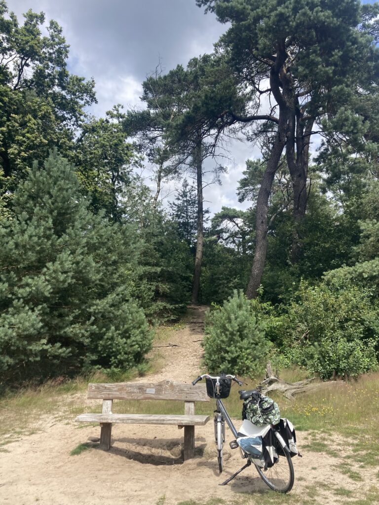 pijnbomen, grassen, heide, bankje, thee - heerlijkheid op 7 km. afstand!